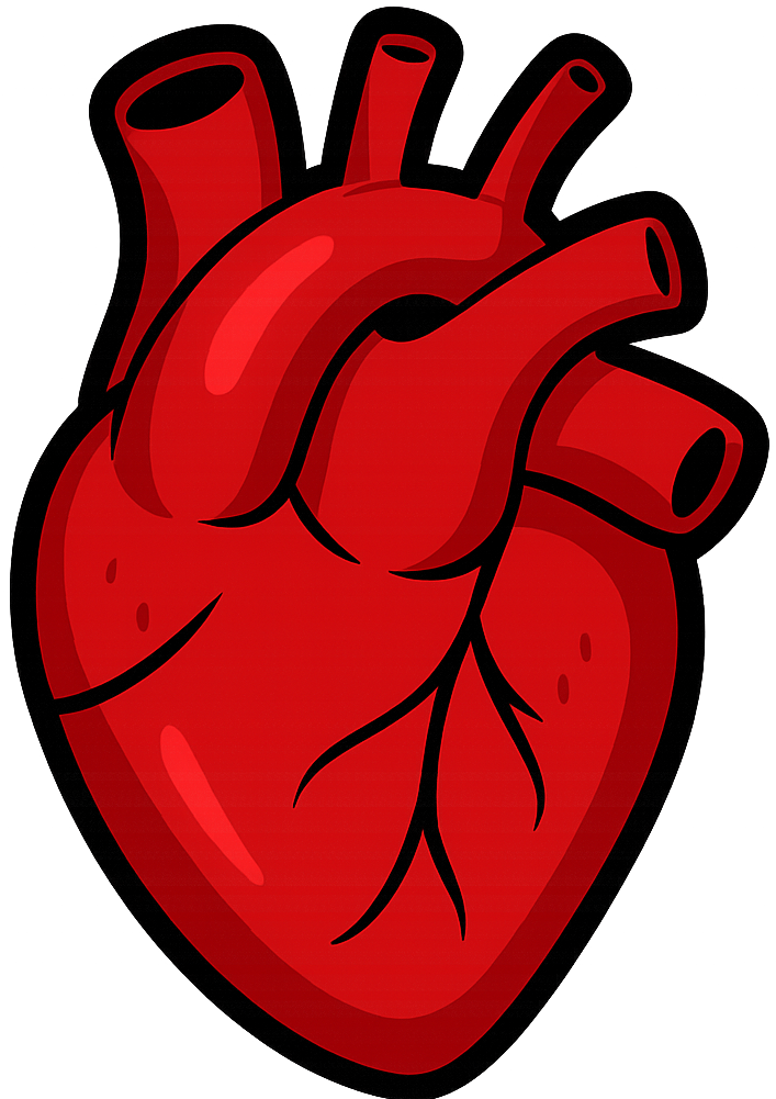 heart